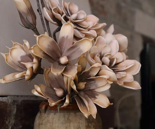 Ξενοδοχείο Mani